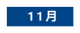11月
