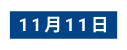 11月11日