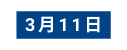 3月11日